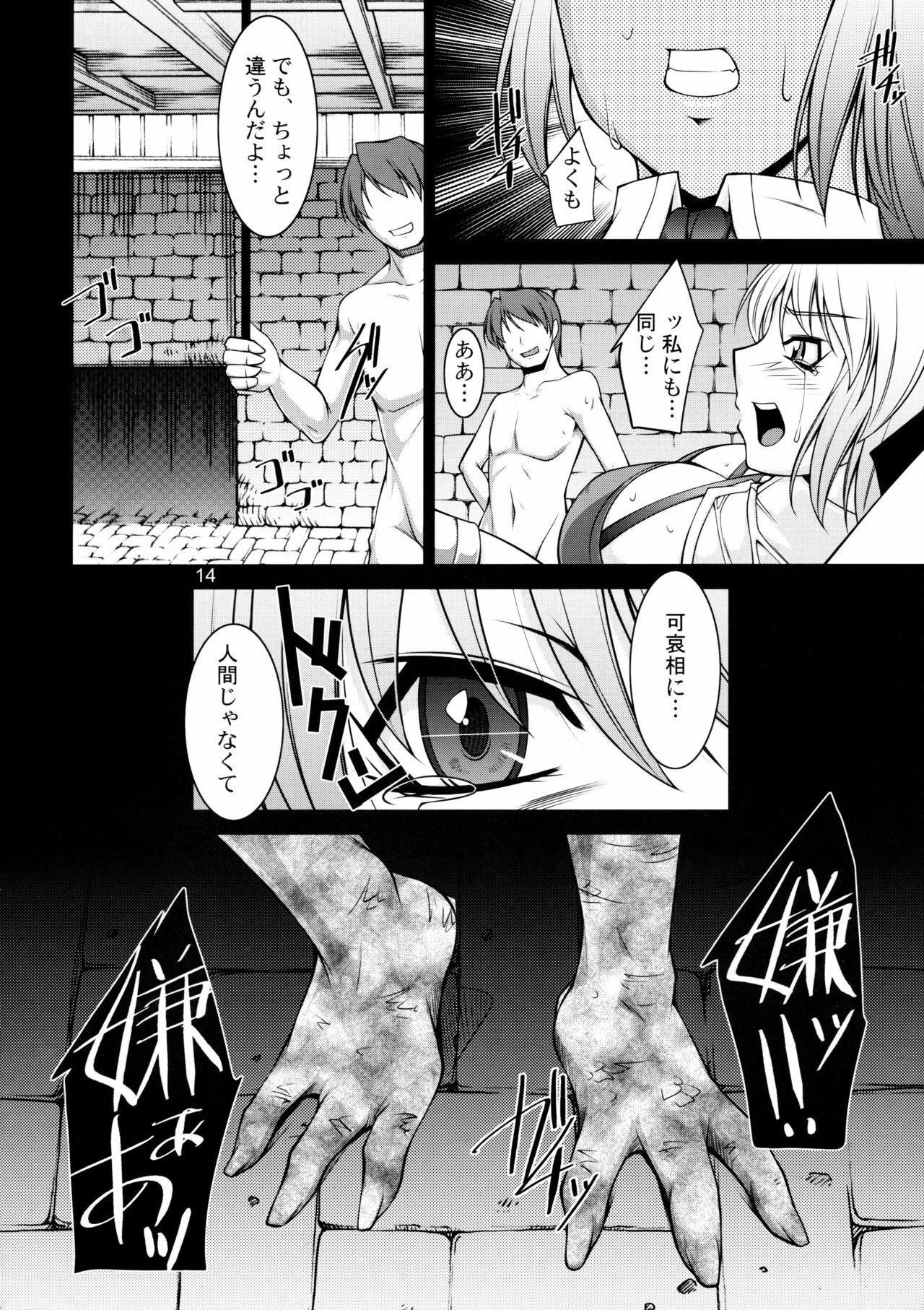 (C75) [Manamagu (zen9)] Breeding X Sisters (Soul Calibur) page 13 full