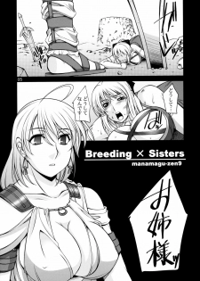 (C75) [Manamagu (zen9)] Breeding X Sisters (Soul Calibur) - page 4