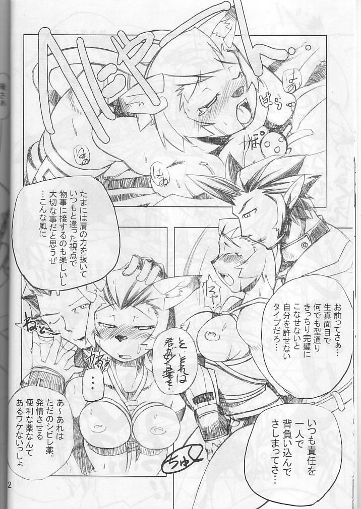 (C66) [Gadoujuku (Kawacchi Hirohiro)] Neko Neko Punch (Final Fantasy XI) page 11 full