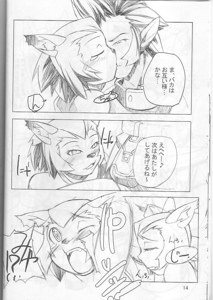 (C66) [Gadoujuku (Kawacchi Hirohiro)] Neko Neko Punch (Final Fantasy XI) page 13 full