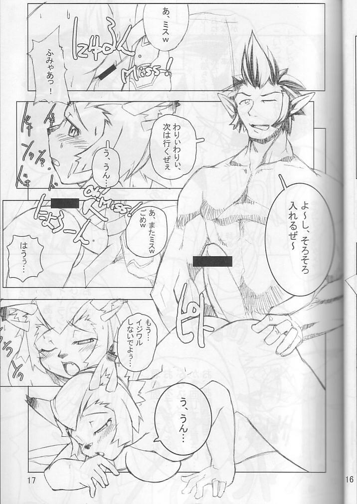 (C66) [Gadoujuku (Kawacchi Hirohiro)] Neko Neko Punch (Final Fantasy XI) page 16 full