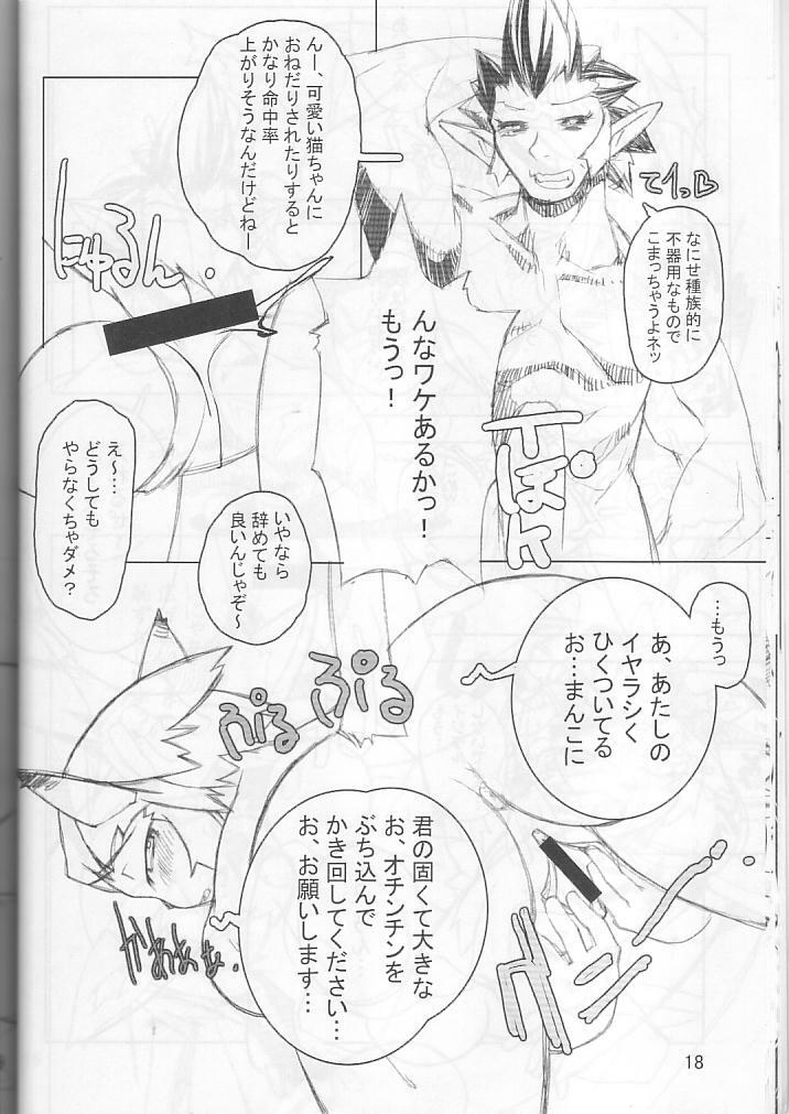 (C66) [Gadoujuku (Kawacchi Hirohiro)] Neko Neko Punch (Final Fantasy XI) page 17 full