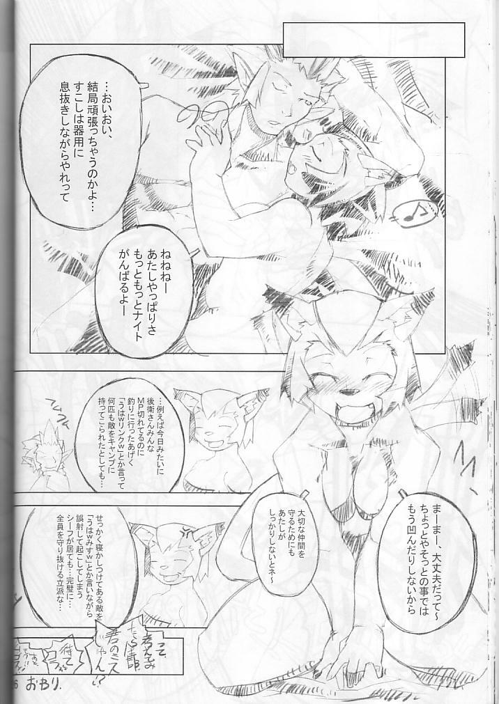 (C66) [Gadoujuku (Kawacchi Hirohiro)] Neko Neko Punch (Final Fantasy XI) page 25 full