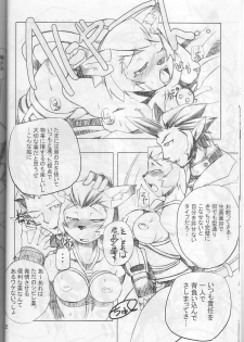 (C66) [Gadoujuku (Kawacchi Hirohiro)] Neko Neko Punch (Final Fantasy XI) - page 11