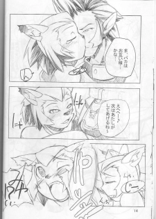 (C66) [Gadoujuku (Kawacchi Hirohiro)] Neko Neko Punch (Final Fantasy XI) - page 13