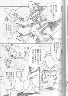 (C66) [Gadoujuku (Kawacchi Hirohiro)] Neko Neko Punch (Final Fantasy XI) - page 14