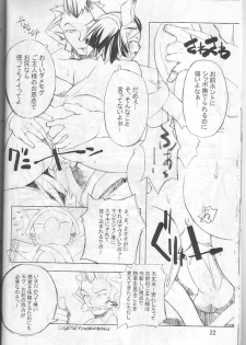 (C66) [Gadoujuku (Kawacchi Hirohiro)] Neko Neko Punch (Final Fantasy XI) - page 21