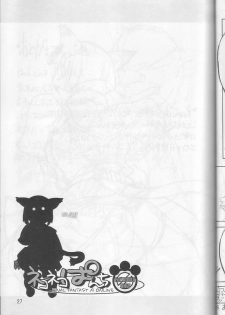 (C66) [Gadoujuku (Kawacchi Hirohiro)] Neko Neko Punch (Final Fantasy XI) - page 26