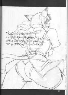 (C66) [Gadoujuku (Kawacchi Hirohiro)] Neko Neko Punch (Final Fantasy XI) - page 27