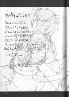 (C66) [Gadoujuku (Kawacchi Hirohiro)] Neko Neko Punch (Final Fantasy XI) - page 28