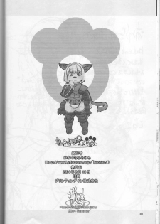 (C66) [Gadoujuku (Kawacchi Hirohiro)] Neko Neko Punch (Final Fantasy XI) - page 29