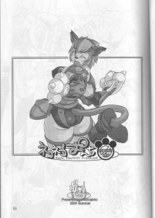 (C66) [Gadoujuku (Kawacchi Hirohiro)] Neko Neko Punch (Final Fantasy XI) - page 2