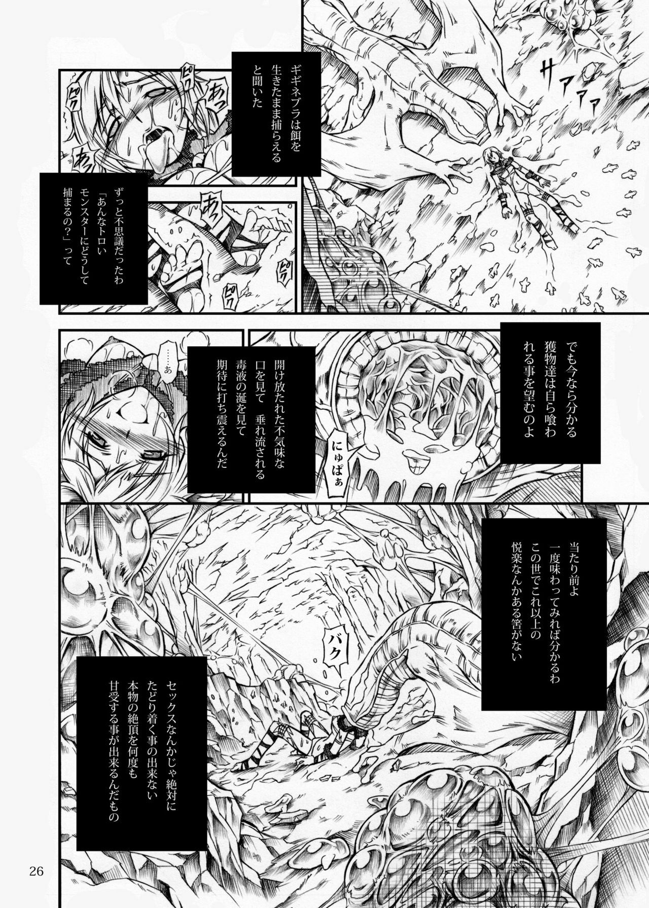 (C77) [Yokohama Junky (Makari Tohru)] Solo Hunter no Seitai (Monster Hunter) page 26 full