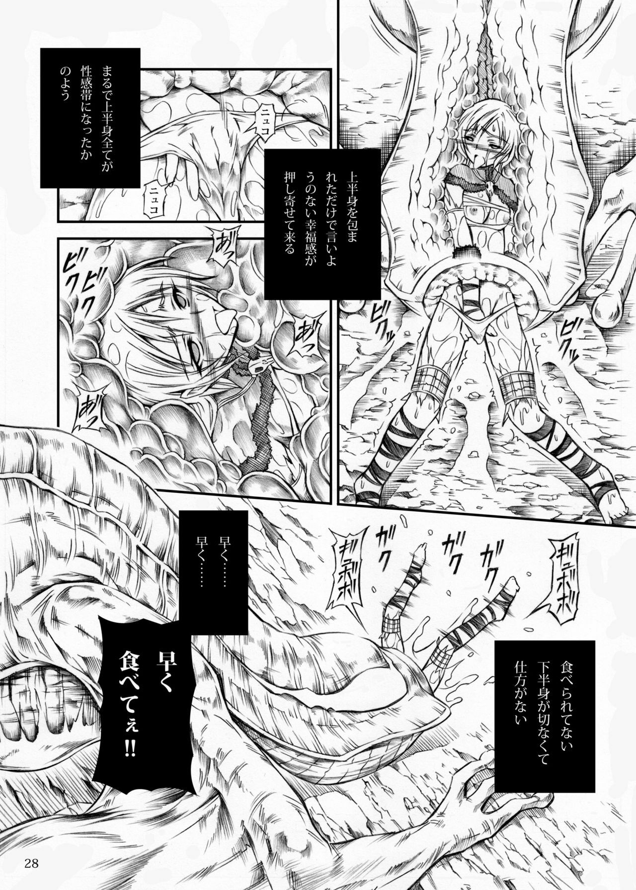 (C77) [Yokohama Junky (Makari Tohru)] Solo Hunter no Seitai (Monster Hunter) page 28 full