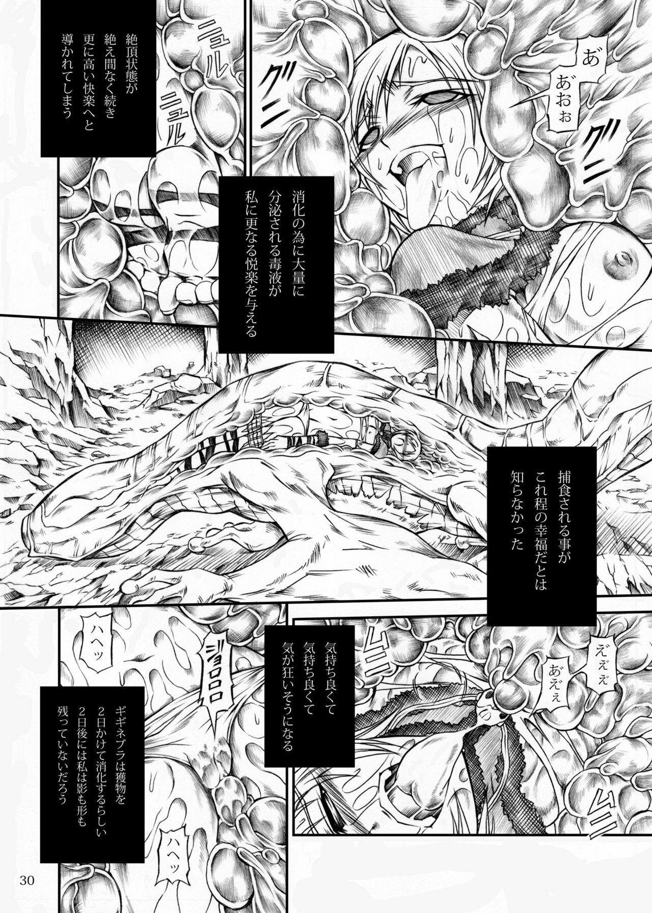 (C77) [Yokohama Junky (Makari Tohru)] Solo Hunter no Seitai (Monster Hunter) page 30 full