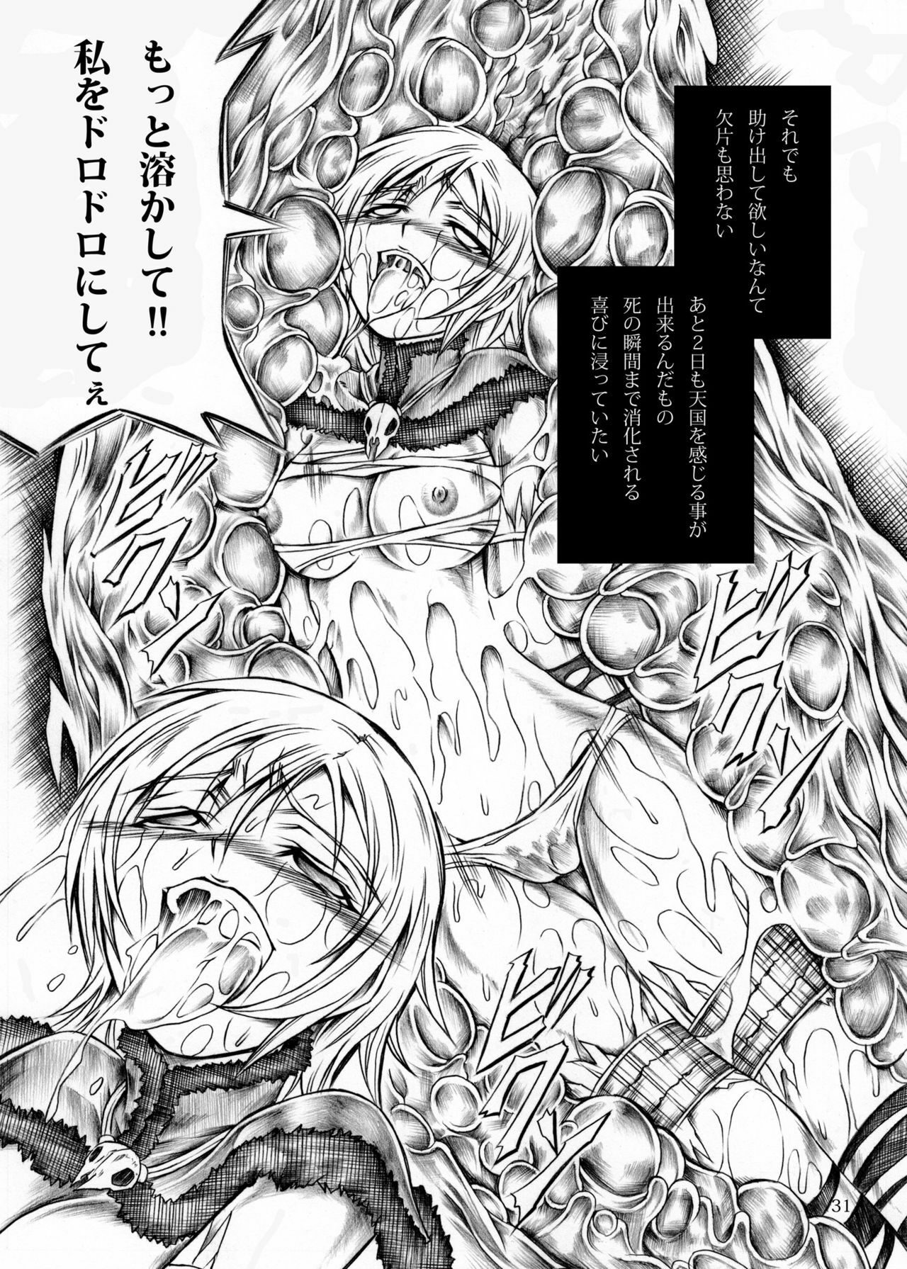 (C77) [Yokohama Junky (Makari Tohru)] Solo Hunter no Seitai (Monster Hunter) page 31 full
