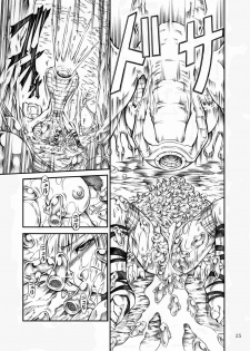 (C77) [Yokohama Junky (Makari Tohru)] Solo Hunter no Seitai (Monster Hunter) - page 25