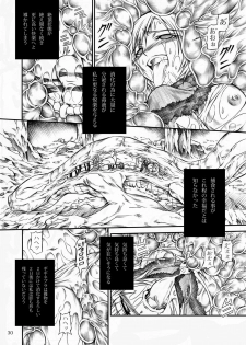 (C77) [Yokohama Junky (Makari Tohru)] Solo Hunter no Seitai (Monster Hunter) - page 30