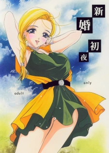 (C75) [Barbaroi no Sato (Ryuuka Ryou)] Shinkon Shoya (Dragon Quest V) - page 1