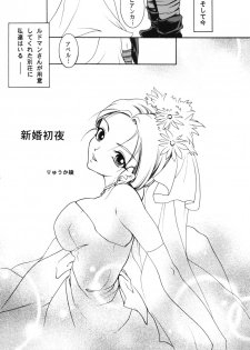 (C75) [Barbaroi no Sato (Ryuuka Ryou)] Shinkon Shoya (Dragon Quest V) - page 4