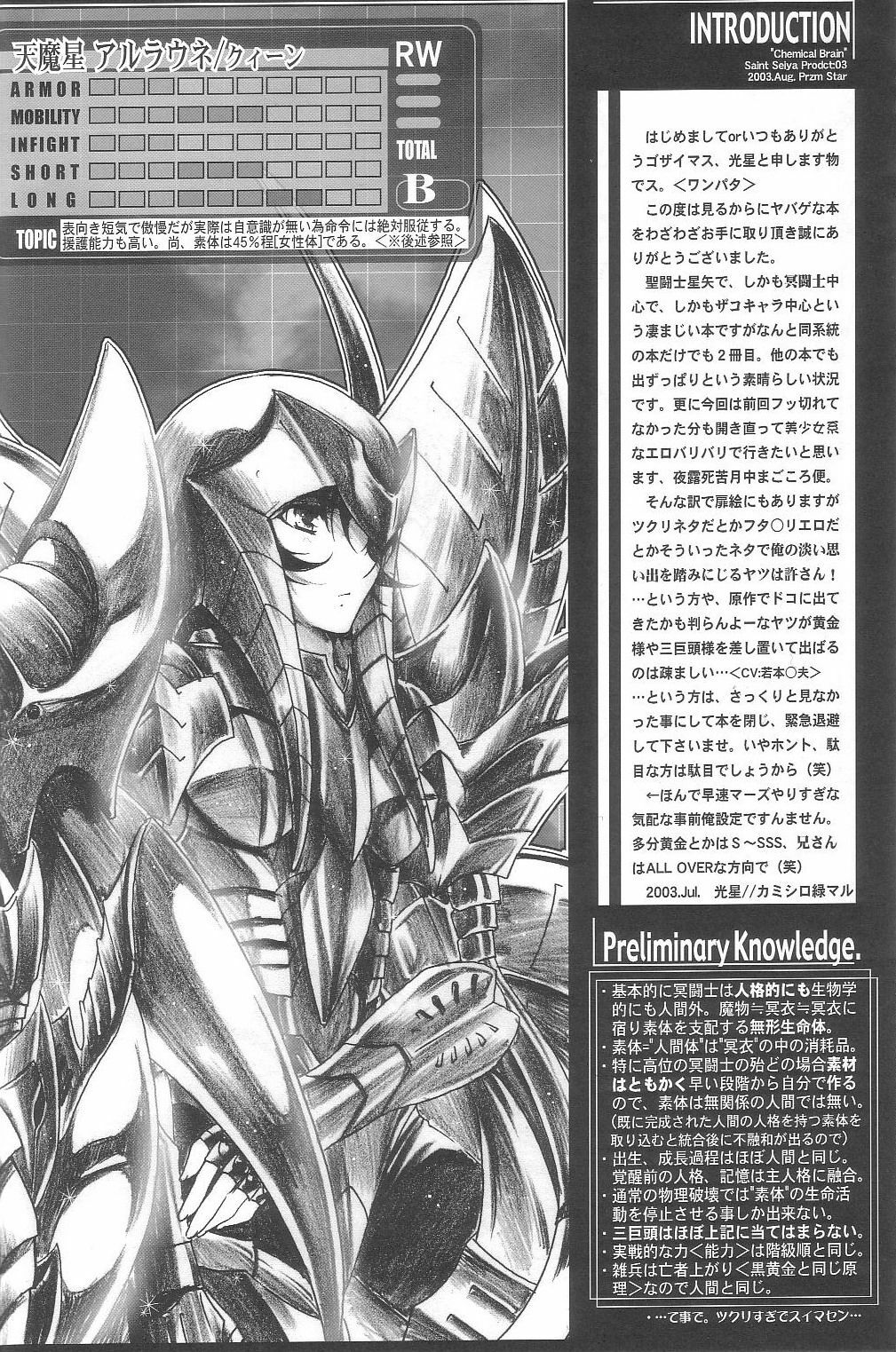 (C66) [Przm Star (Kamishiro Midorimaru, QuanXing)] Chemical Brain (Saint Seiya) page 9 full