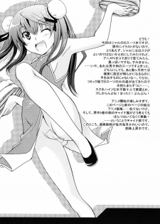 (C79) [Chagashi Saiban (Yamabuki Mook)] Kigae Chuuihou! (IS ) - page 4