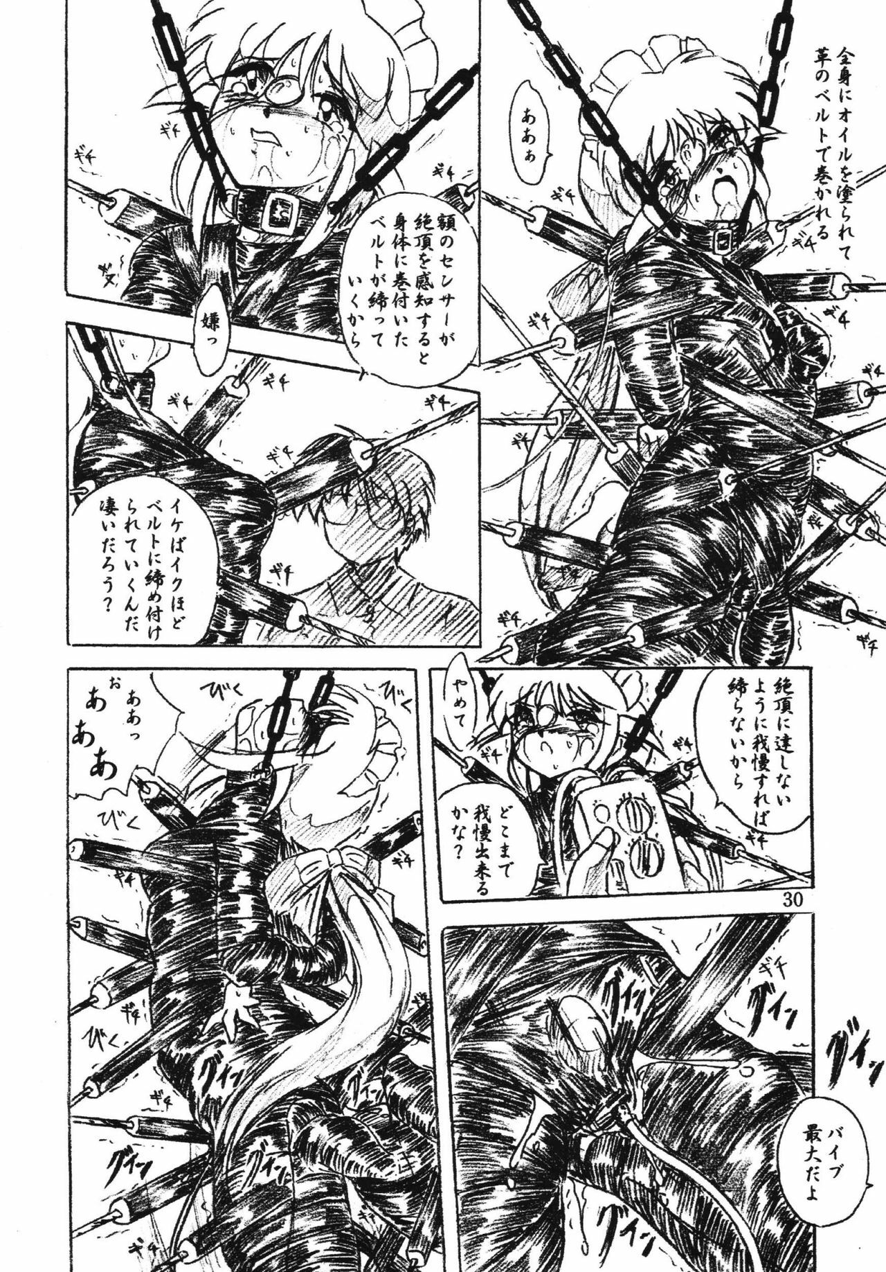 (C70) [Sumomo Dou (Sumomo EX)] Vivian Bessatsu Soushuuhen 2 Ichigo Hakusho (Various) page 30 full