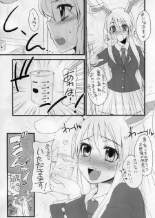 (Reitaisai 7) [Sarurururu (Doru Riheko)] Touhou G Jiihon Soushuuhen (Touhou Project) - page 20