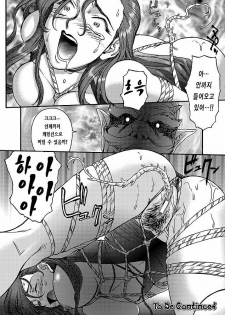 [ZOL] Fighting Beauty (Korean) - page 40
