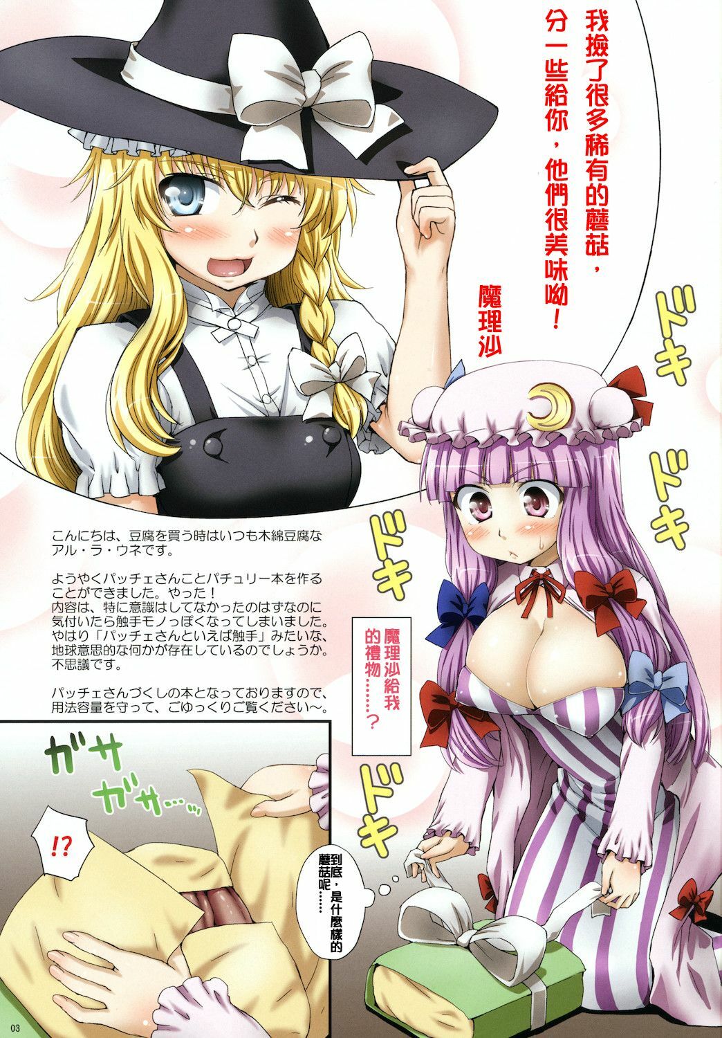 (Reitaisai 8) [ORANGE☆CHANNEL (Aru Ra Une)] Oppatchouli to Marisa no Kinoko (Touhou Project) [Chinese] [鳹鵲個人漢化] page 3 full