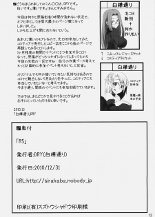 (C79) [Shirakaba Doori (DRY)] R5 (Fate/stay night) - page 11