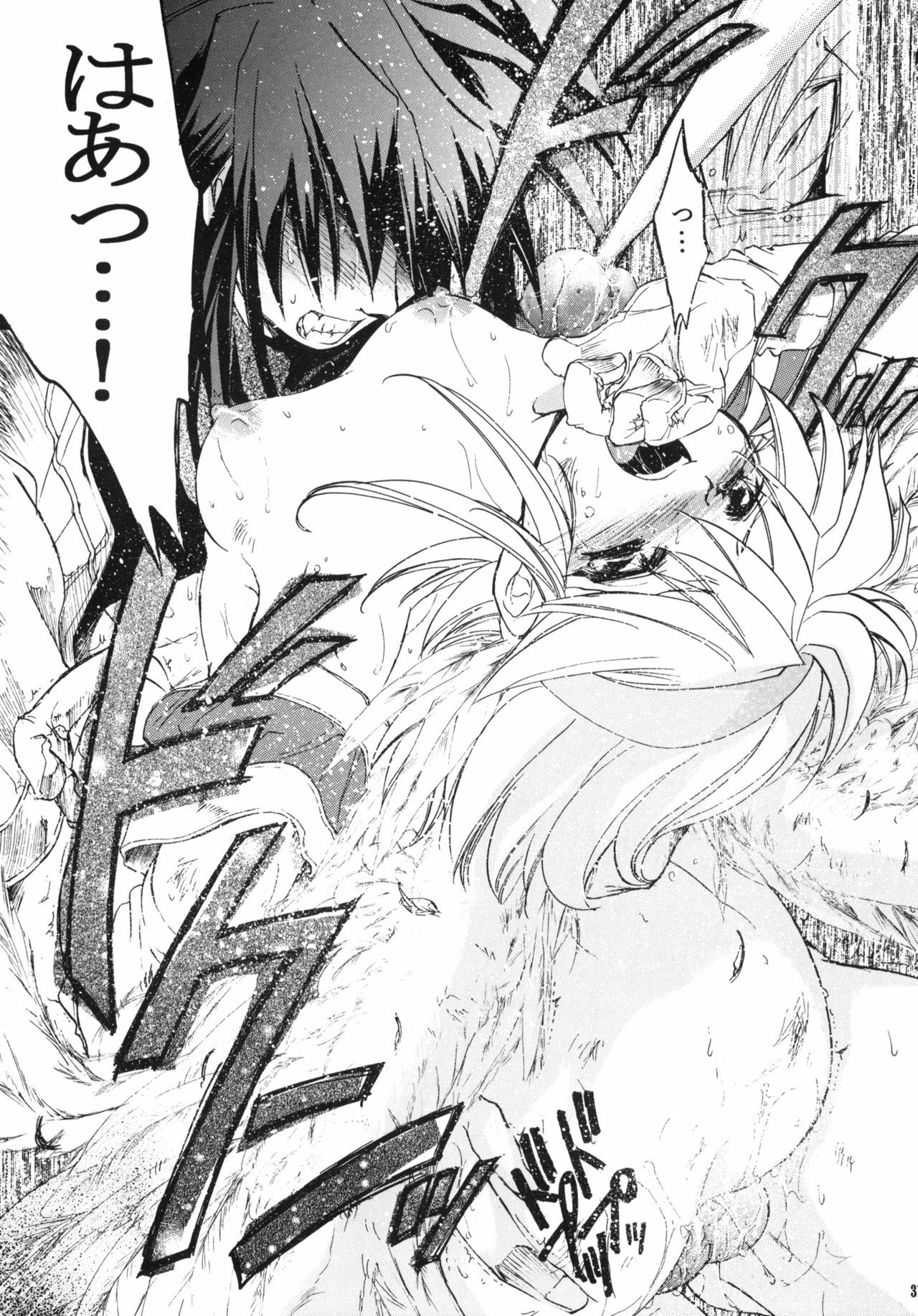 (C61) [Toko-ya (HEIZO, Kitoen)] side:NINA - Ryuu no Me no Fuukei ~ second (Breath Of Fire) page 30 full