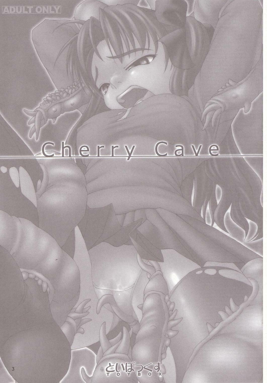 (ComiComi6) [TOYBOX (Jacky, Kurikara)] Cherry Cave (Fate/stay night) page 2 full