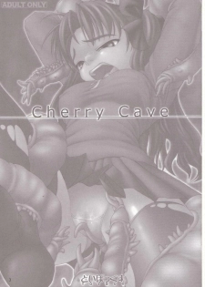 (ComiComi6) [TOYBOX (Jacky, Kurikara)] Cherry Cave (Fate/stay night) - page 2
