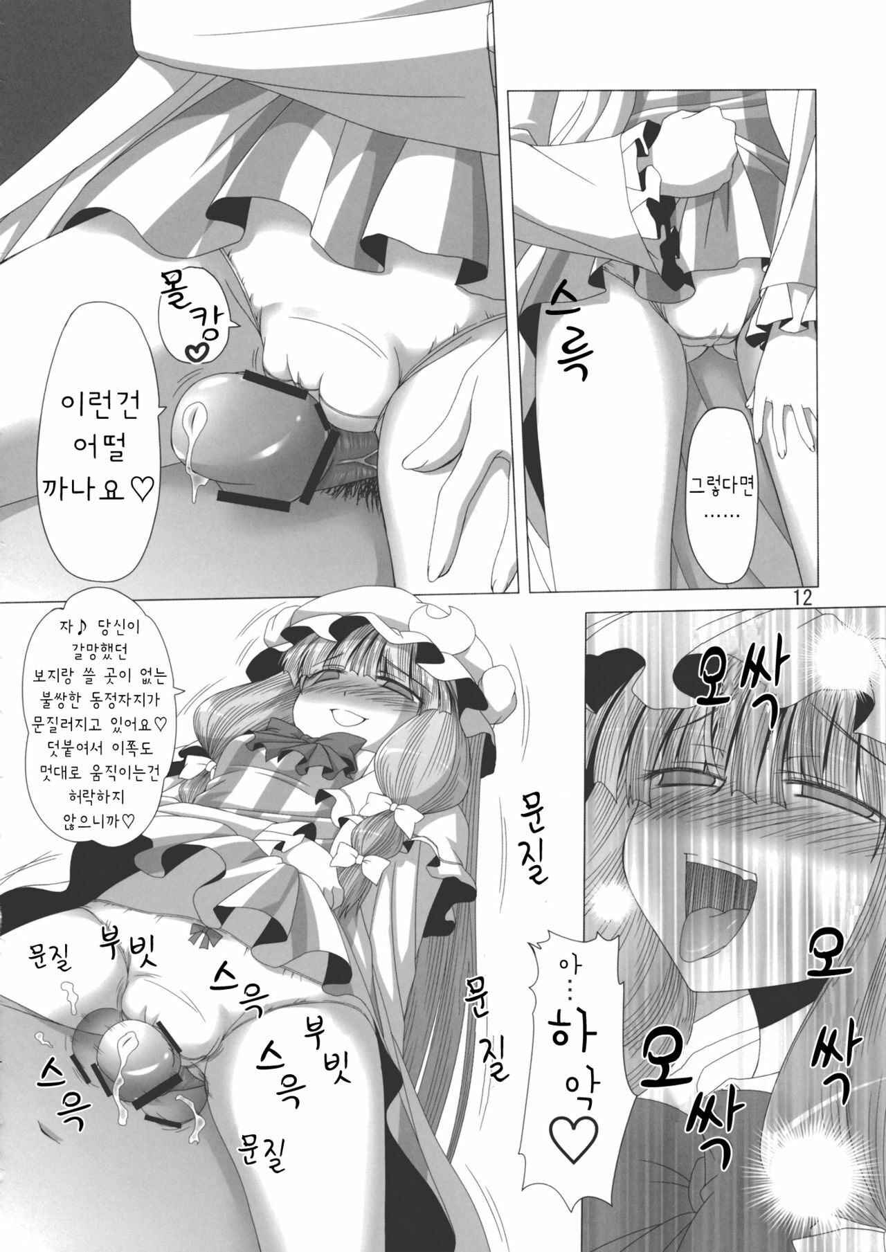 (C79) [Hibiki (Iganseijin)] Patchu+Sato Ni Jitome De Mikudasareru Hon (Touhou Project) [Korean] [Project H] page 13 full