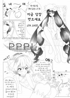 (C79) [Hibiki (Iganseijin)] Patchu+Sato Ni Jitome De Mikudasareru Hon (Touhou Project) [Korean] [Project H] - page 29