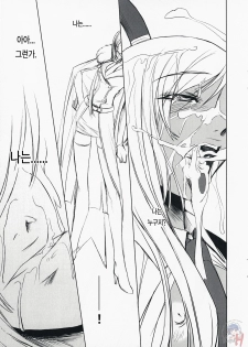 (C73) [Dex+ (Nakadera Akira)] CODE VILLETTA (Code Geass) [Korean] [LACRIMA + Project H] - page 18