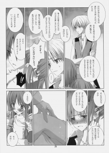 (C78) [EPI (Tatsumi Neon)] A square Ⅲ (Ragnarok Online) - page 24