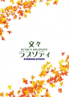 (COMIC1☆3) [ciaociao (Araki Kanao)] BunBun Rhapsody (Touhou Project) [Chinese] - page 22