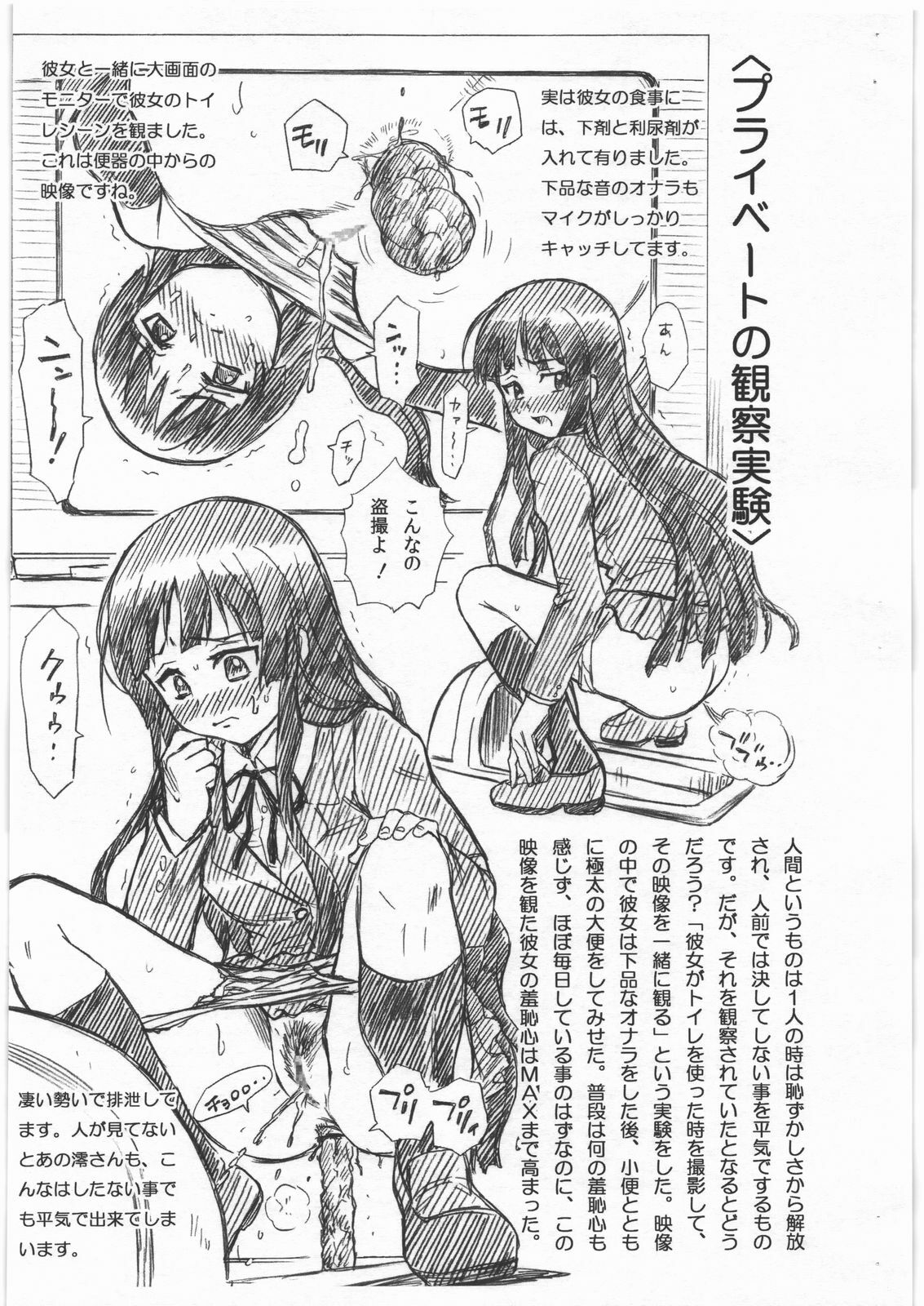 (C76) [Rat Tail (Irie Yamazaki)] Yamazaki Kyouju no Shuuchishin Kenkyuujo Model K-ON! Akiyama Mio (K-ON!) page 5 full