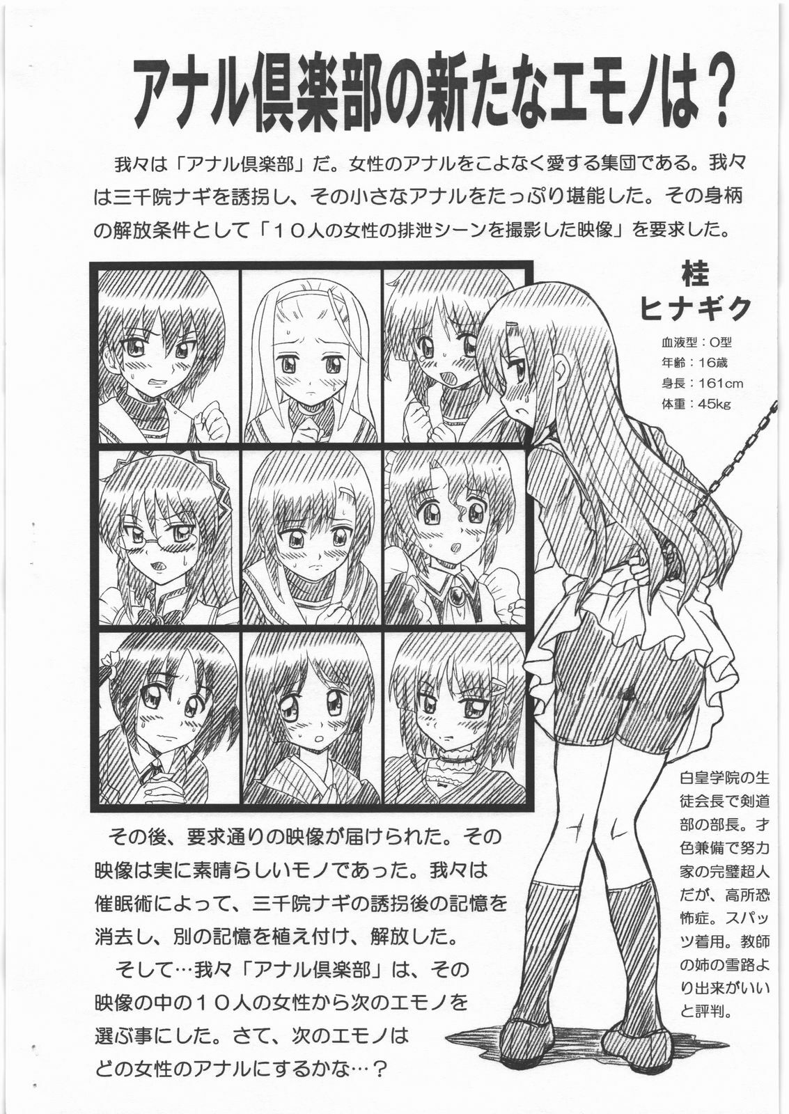 (C77) [RAT TAIL (Irie Yamazaki)] HAYATE FILE Katsura Hinagiku Gazoushuu (Hayate no Gotoku!) page 2 full