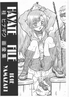 (C77) [RAT TAIL (Irie Yamazaki)] HAYATE FILE Katsura Hinagiku Gazoushuu (Hayate no Gotoku!) - page 1