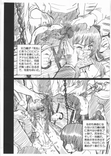 [Rat Tail (Irie Yamazaki)] MAYOINEKO FILE Serizawa Fumino Gazoushuu (Mayoi Neko Overrun!) - page 4