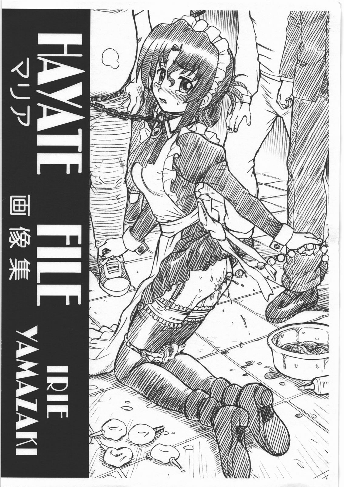 (SC46) [RAT TAIL (IRIE YAMAZAKI)] HAYATE FILE Maria Gazoushuu (Hayate no Gotoku!) page 1 full