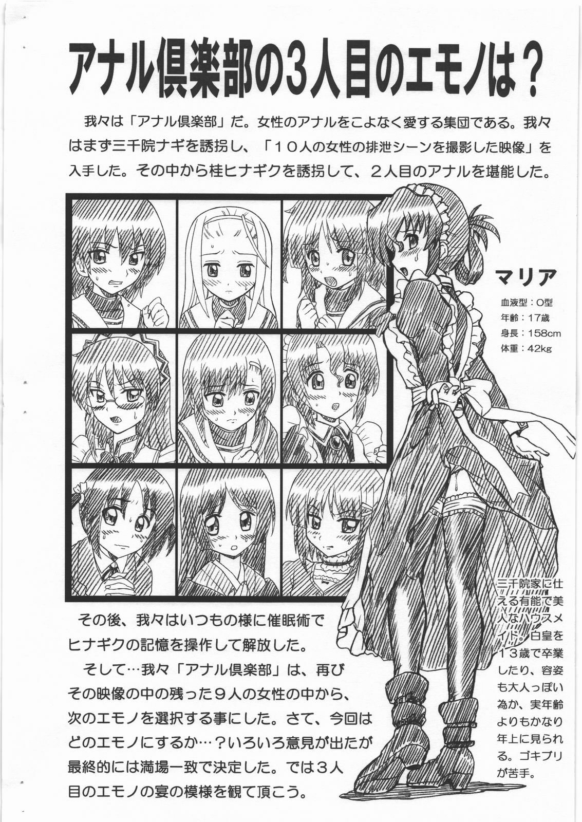 (SC46) [RAT TAIL (IRIE YAMAZAKI)] HAYATE FILE Maria Gazoushuu (Hayate no Gotoku!) page 2 full