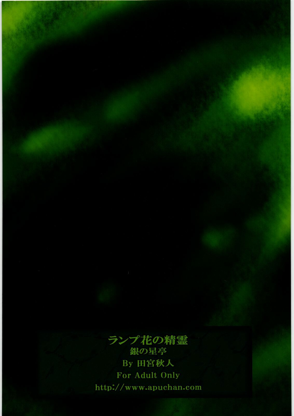 (COMIC1☆4) [Gin no Hoshitei (Tamiya Akito)] Lamp-bana no Seirei (Seiken Densetsu 3) page 22 full