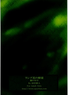 (COMIC1☆4) [Gin no Hoshitei (Tamiya Akito)] Lamp-bana no Seirei (Seiken Densetsu 3) - page 22