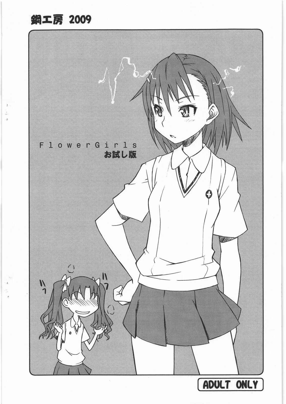 [Hagane Koubou] Flower Girls Otameshiban (Toaru Kagaku no Railgun) page 10 full