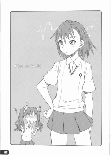 (COMIC1☆4) [Hagane Koubou (Haganema)] Flower Girls (Toaru Kagaku no Railgun) - page 2