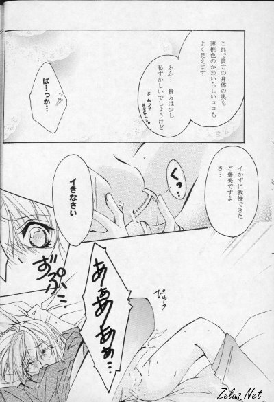 Royal Cute 2 (Yami no Matsuei) page 11 full